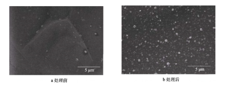 等離子體處理前后石墨膜的SEM形貌 