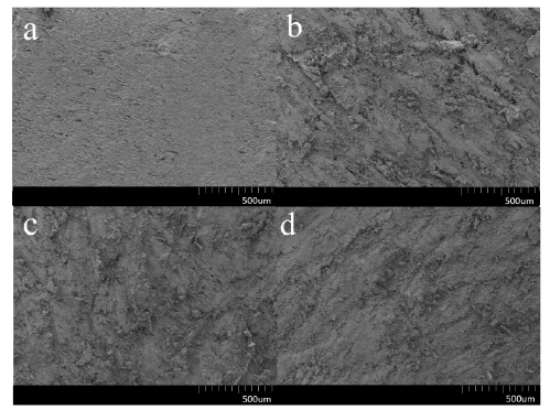 大氣等離子體處理后的發(fā)泡PVC板表面掃描電鏡圖