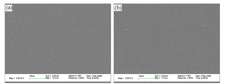 不同O2等離子體處理功率下的殼聚糖膜表面SEM圖,(a)100W,(b)150W 
