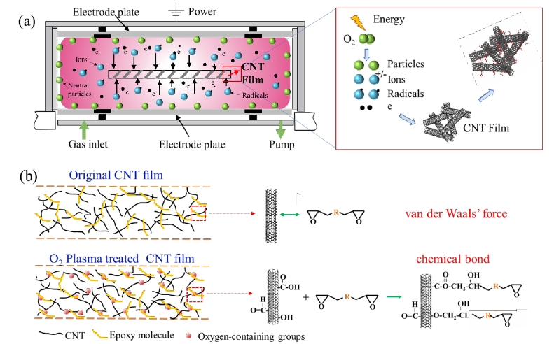 圖 1(a)氧等離子體改性CNTs薄膜機理示意圖,(b)含氧基團增強CNTs和樹脂間界面結(jié)合 機制原理圖 
