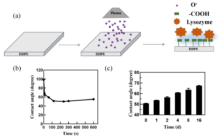 圖1 a)等離子體活化示意圖;b)等離子體處理時間與接觸角的關系;c)等離子體活化后接觸角隨時間 的變化